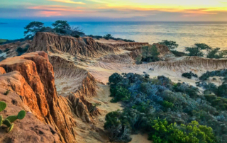 torrey pines