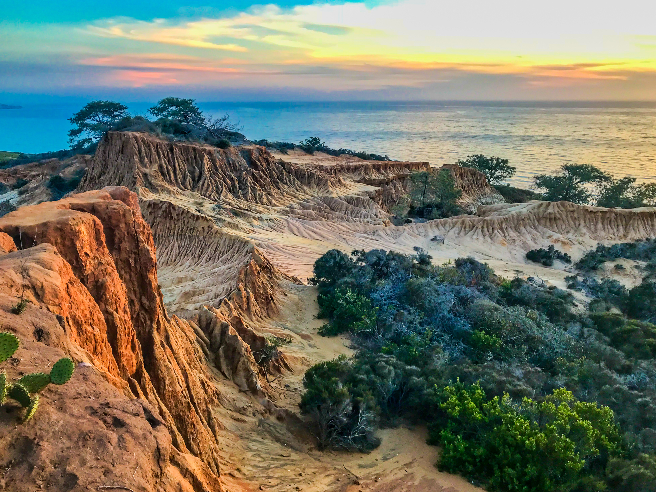 torrey pines